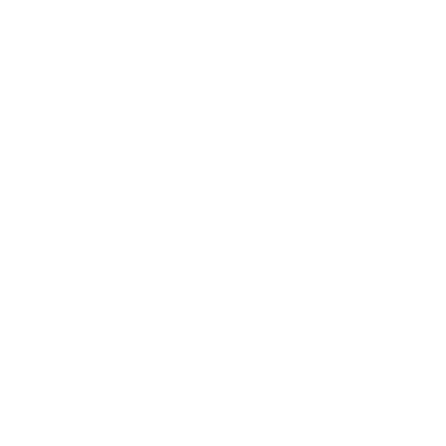 289 Runs logo